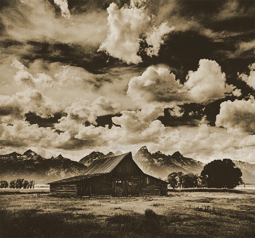 Wild Skies
