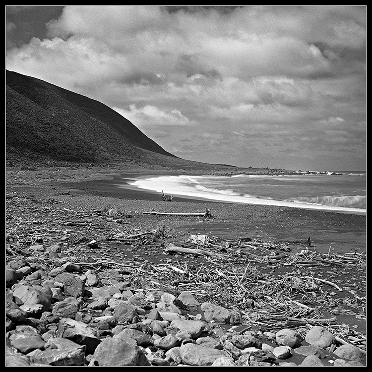 Wild South Coast