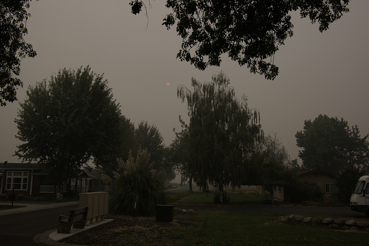 Wildfire sky