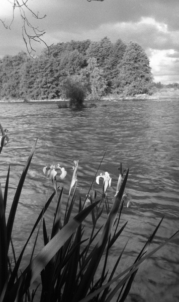 William B Pond area