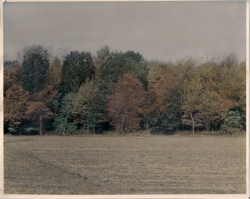 Williams Side Road - Hand Coloured