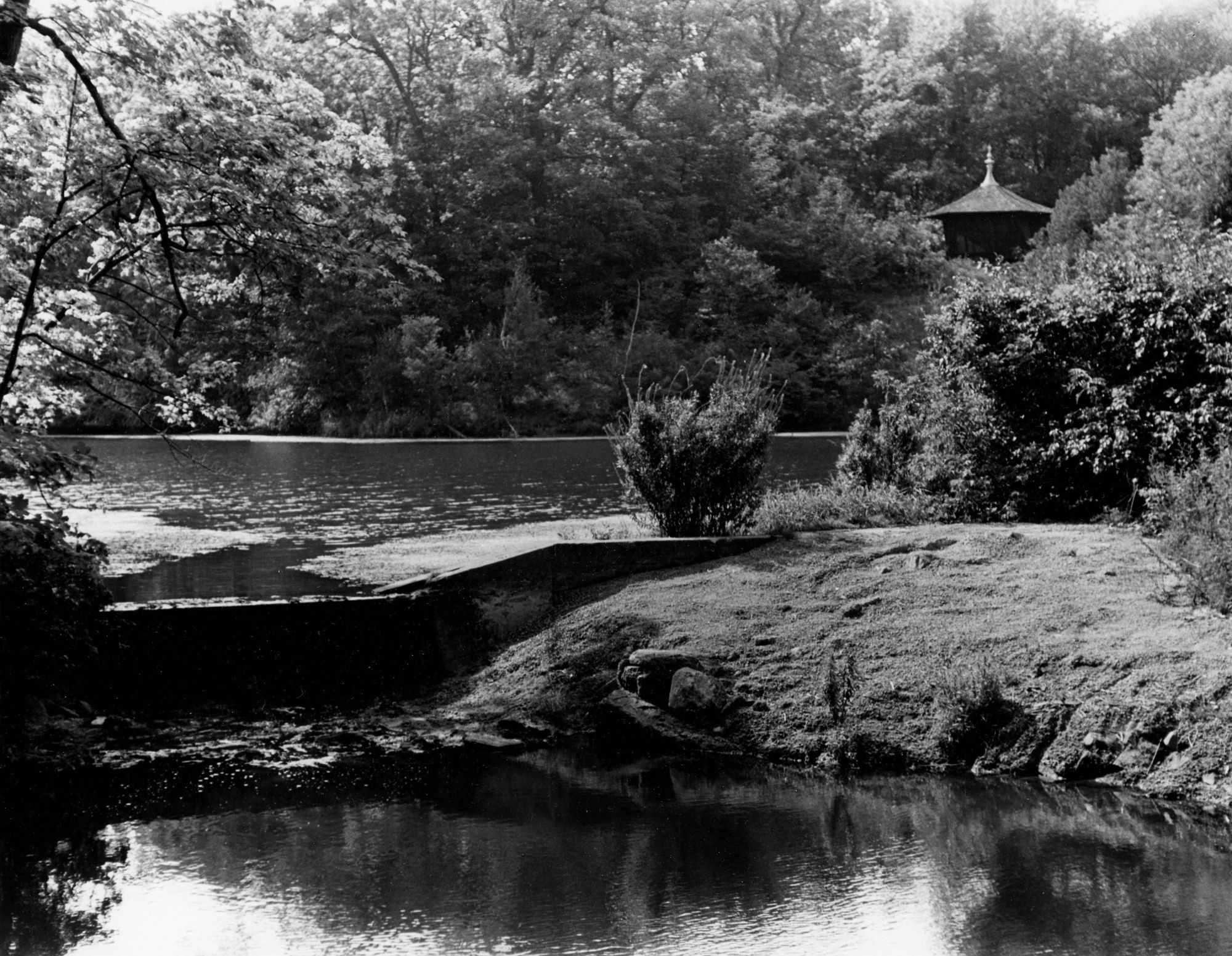 Willoway Brook Dam