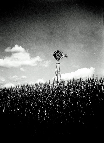 Wind Farm