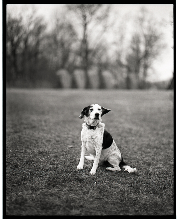 Wind in your ears