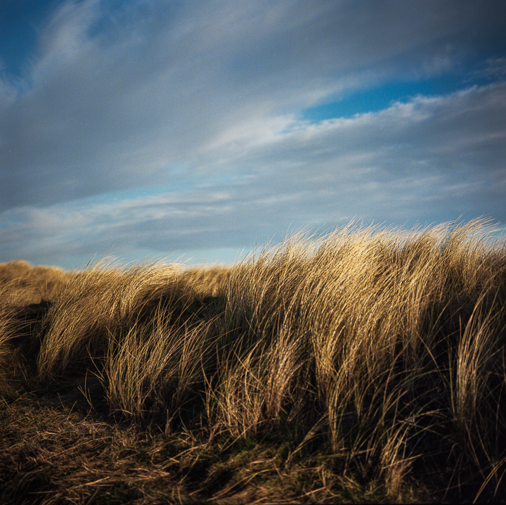 Wind