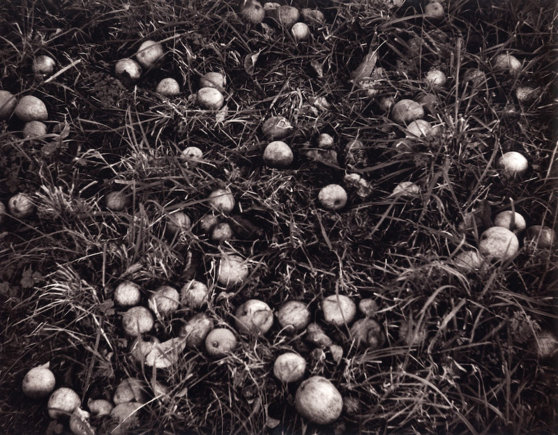 Windfalls