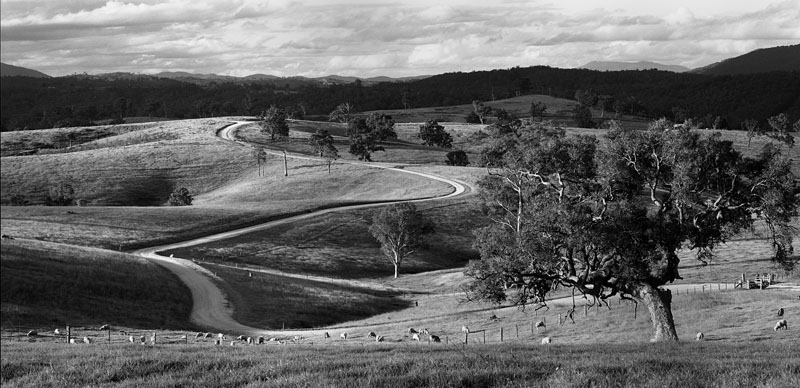 Winding Road