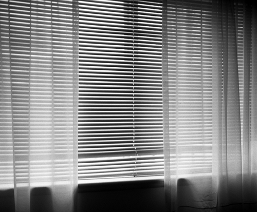 Window Blind
