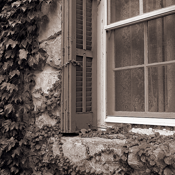 Window Detail