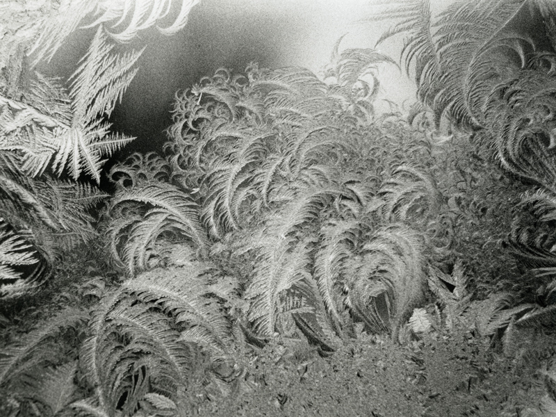 Window Frost, #1