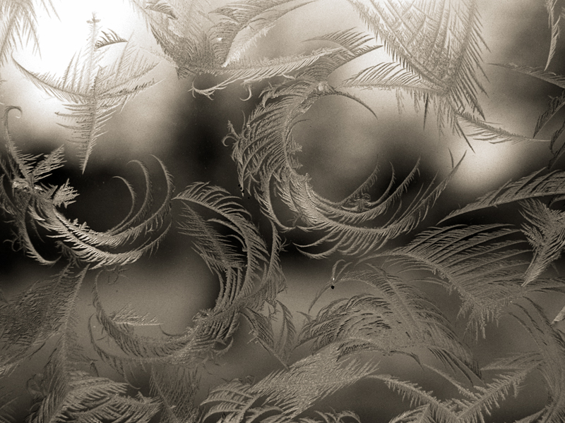 Window Frost, #2