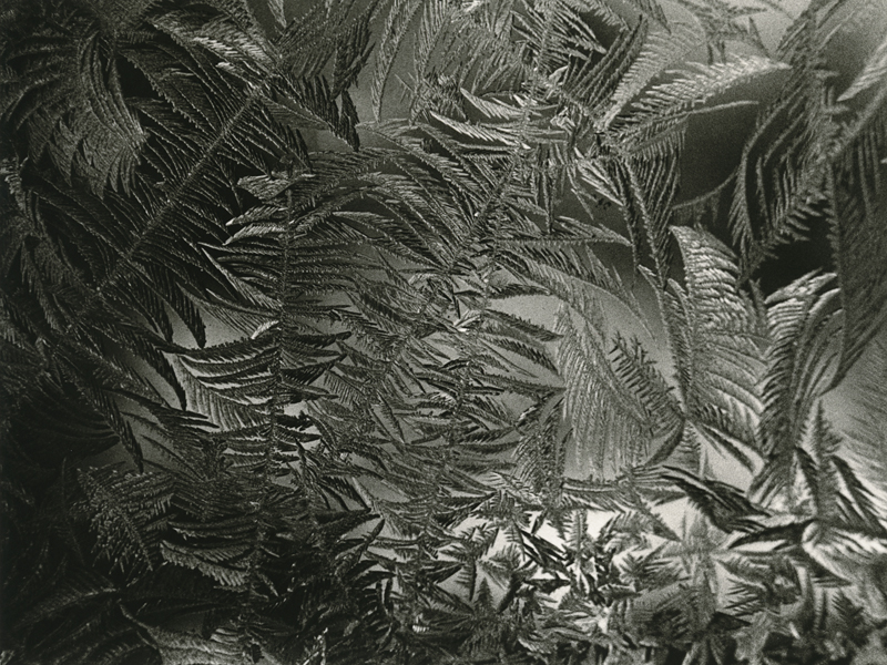 Window Frost