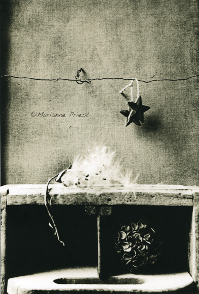 Window Light Stars