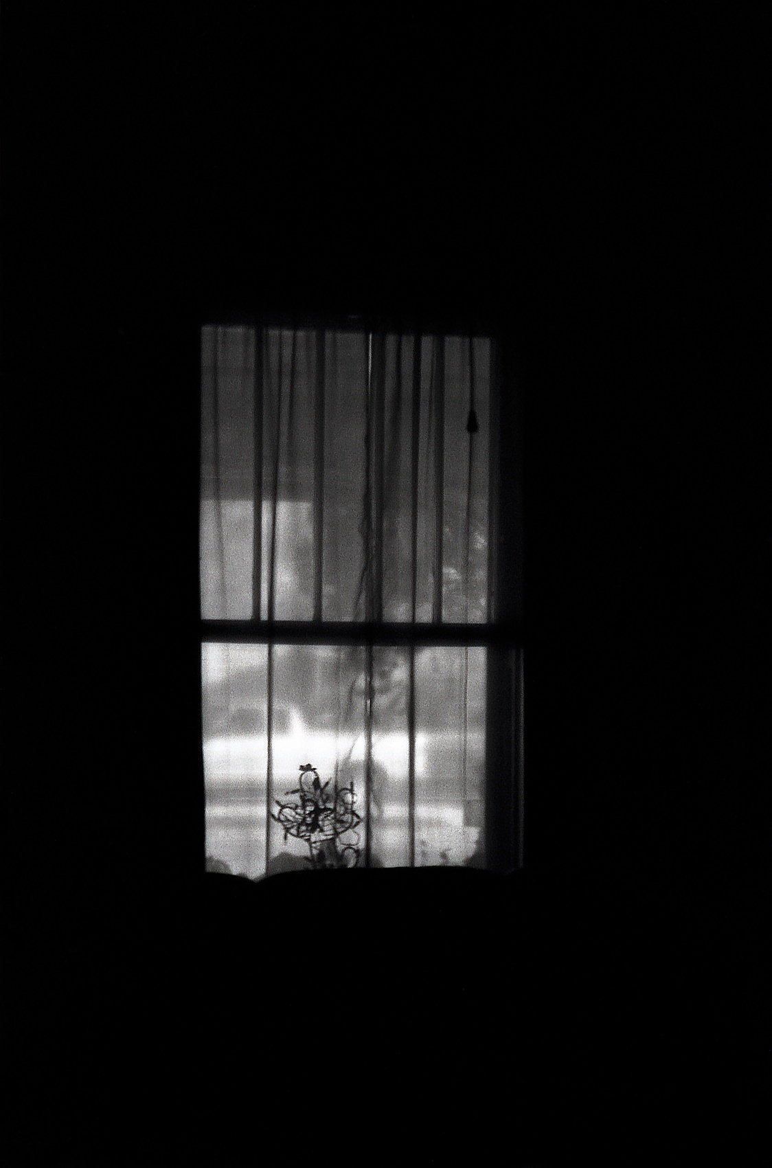 Window Of Perception