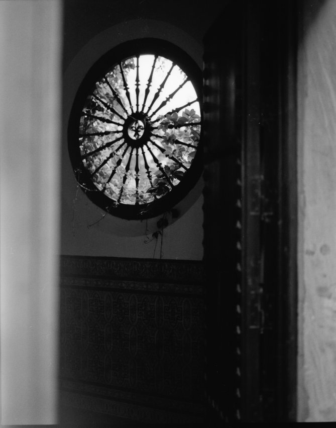 Window on a Garden in Granada, Spain