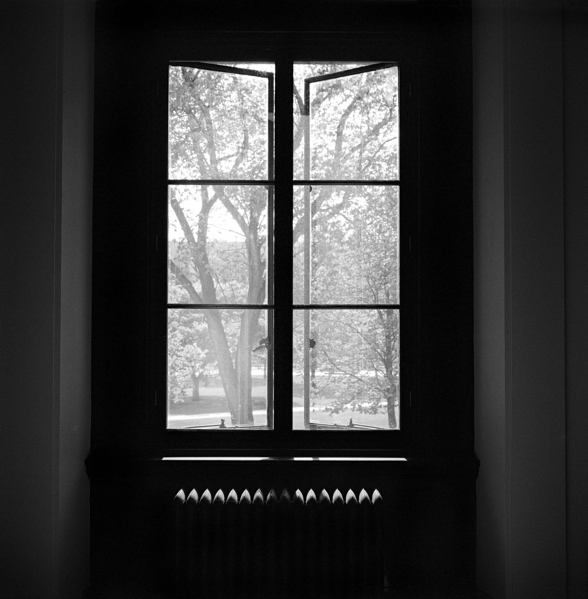 Window, Radiator