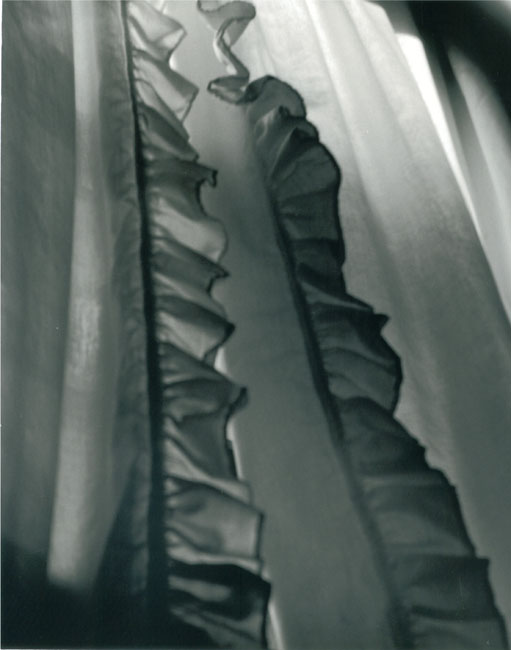 Window Shears