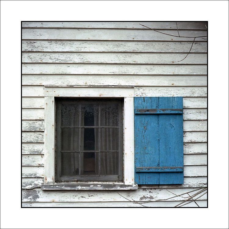 Window & Shutter