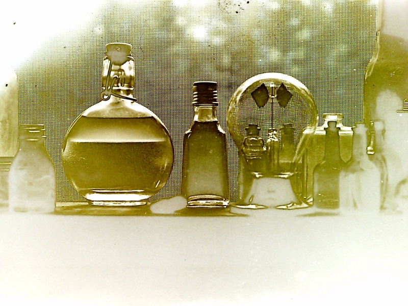 Window View