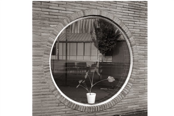 Window with Plant