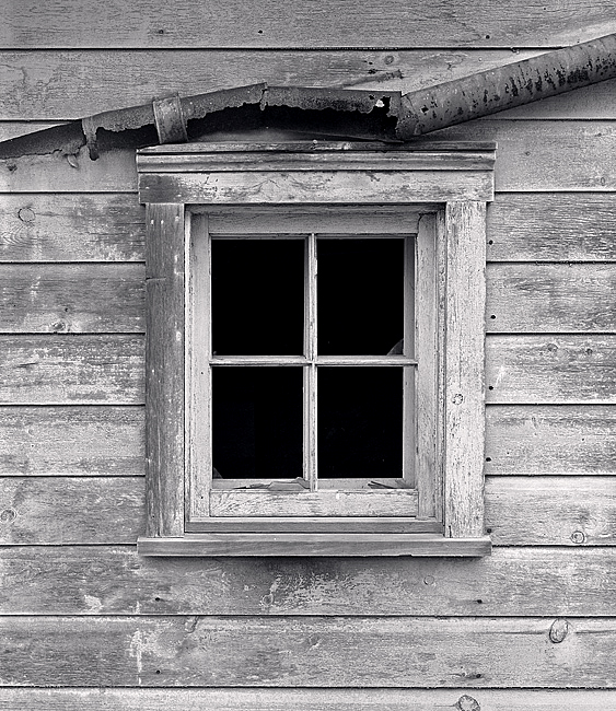 Window