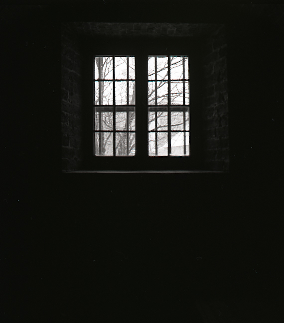 Window