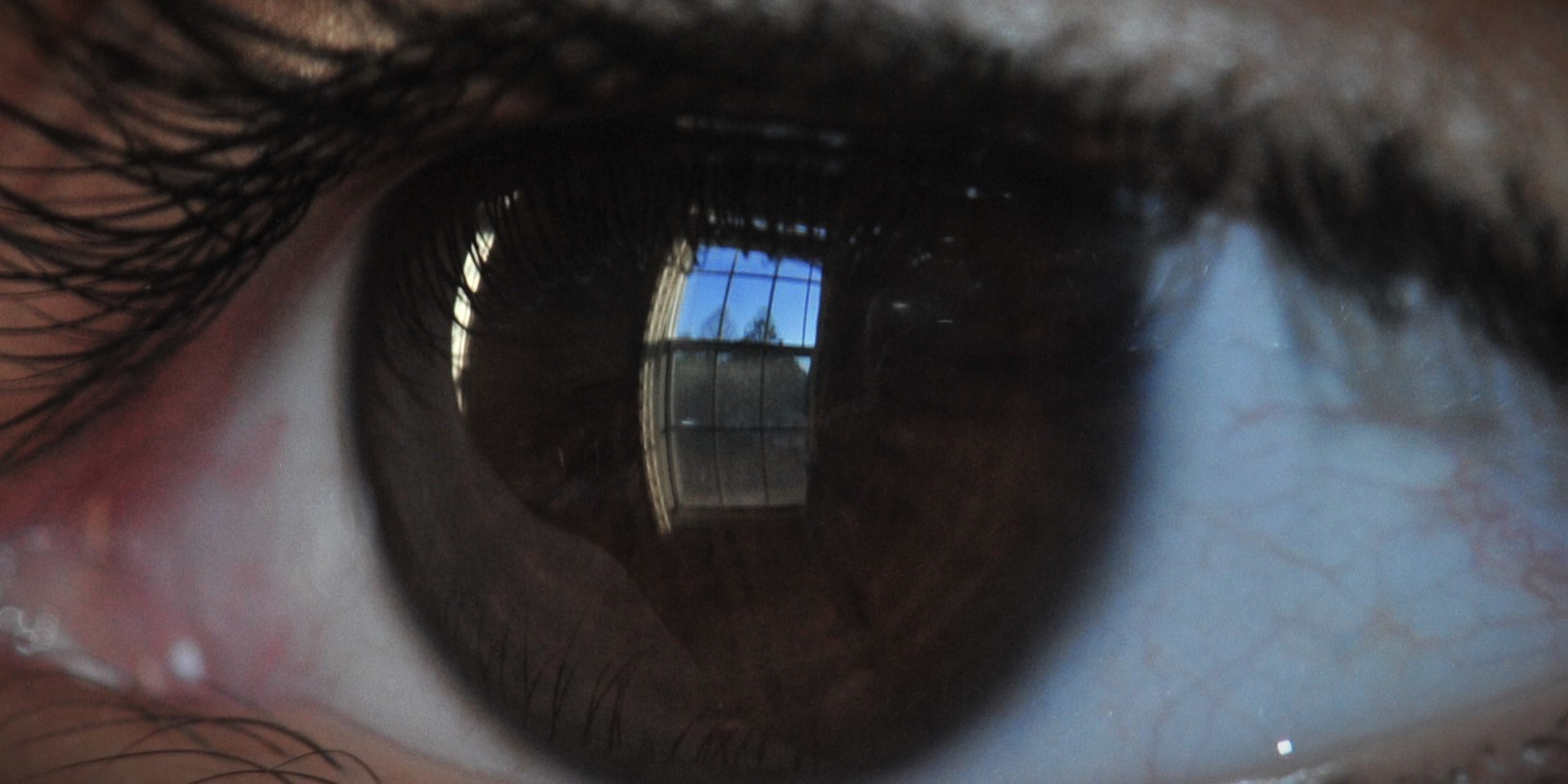 Window