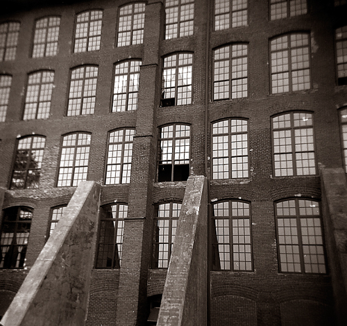 windows
