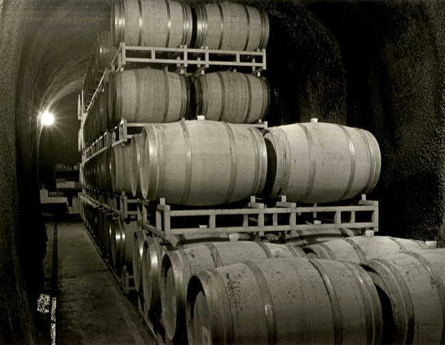 Wine Cellar