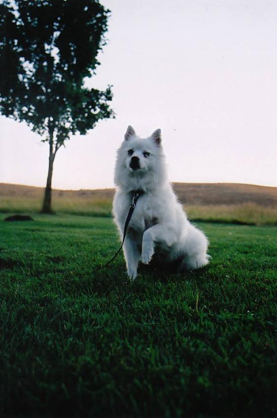 Wink and Shake