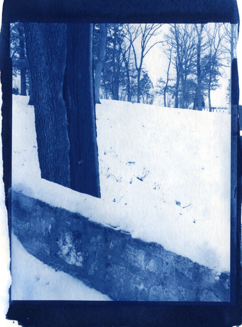 Winter 1980, My 1st Cyanotype Print