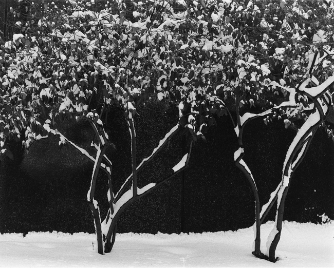 winter, 2005