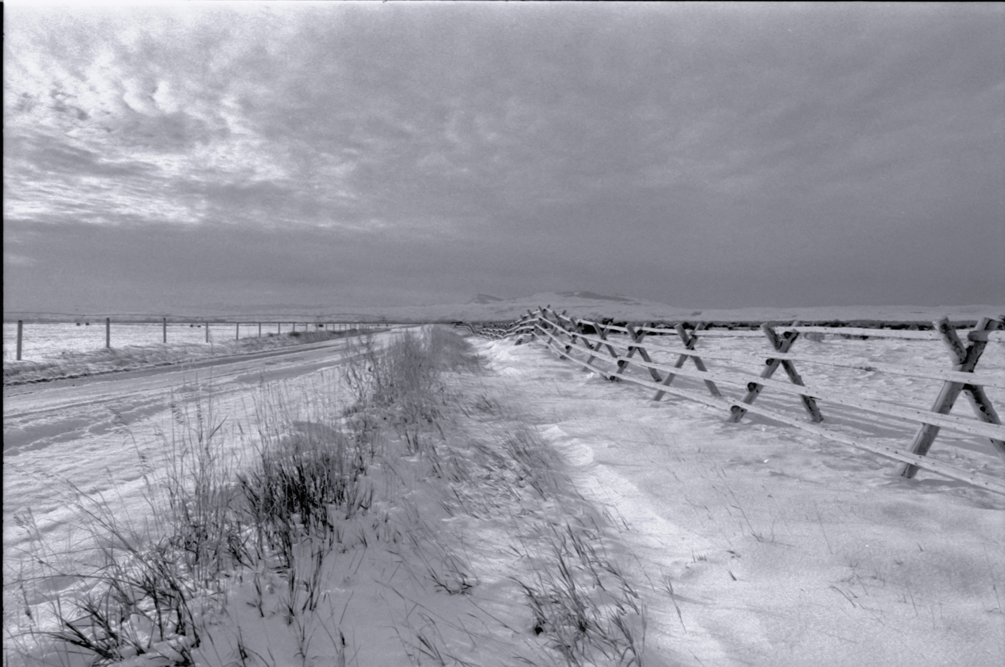 Winter Day in Montana