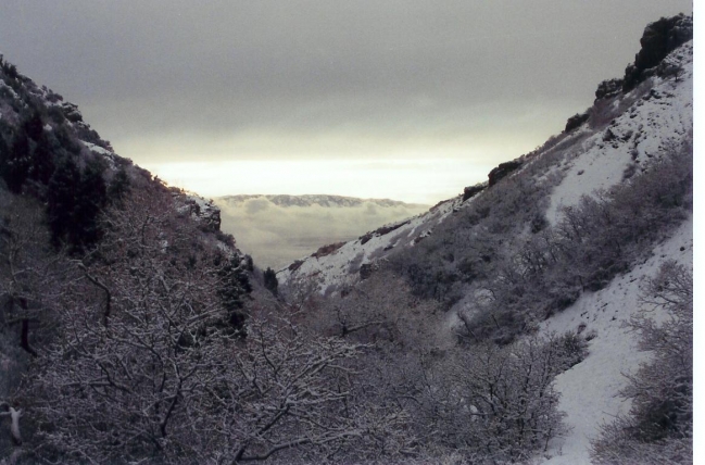 Winter Falls