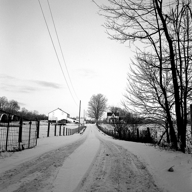 Winter Farm