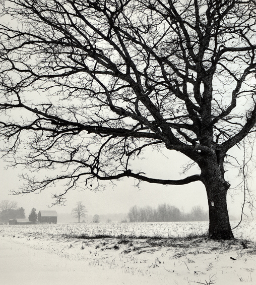 Winter Farmlands