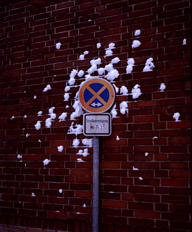 Winter Fun