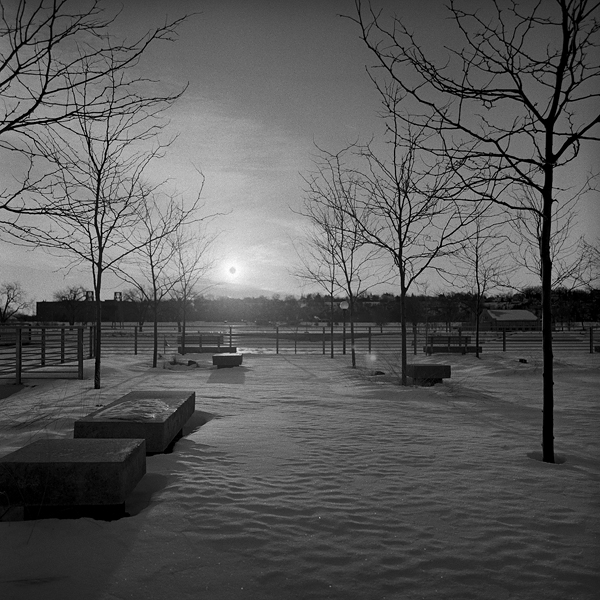 Winter Garden