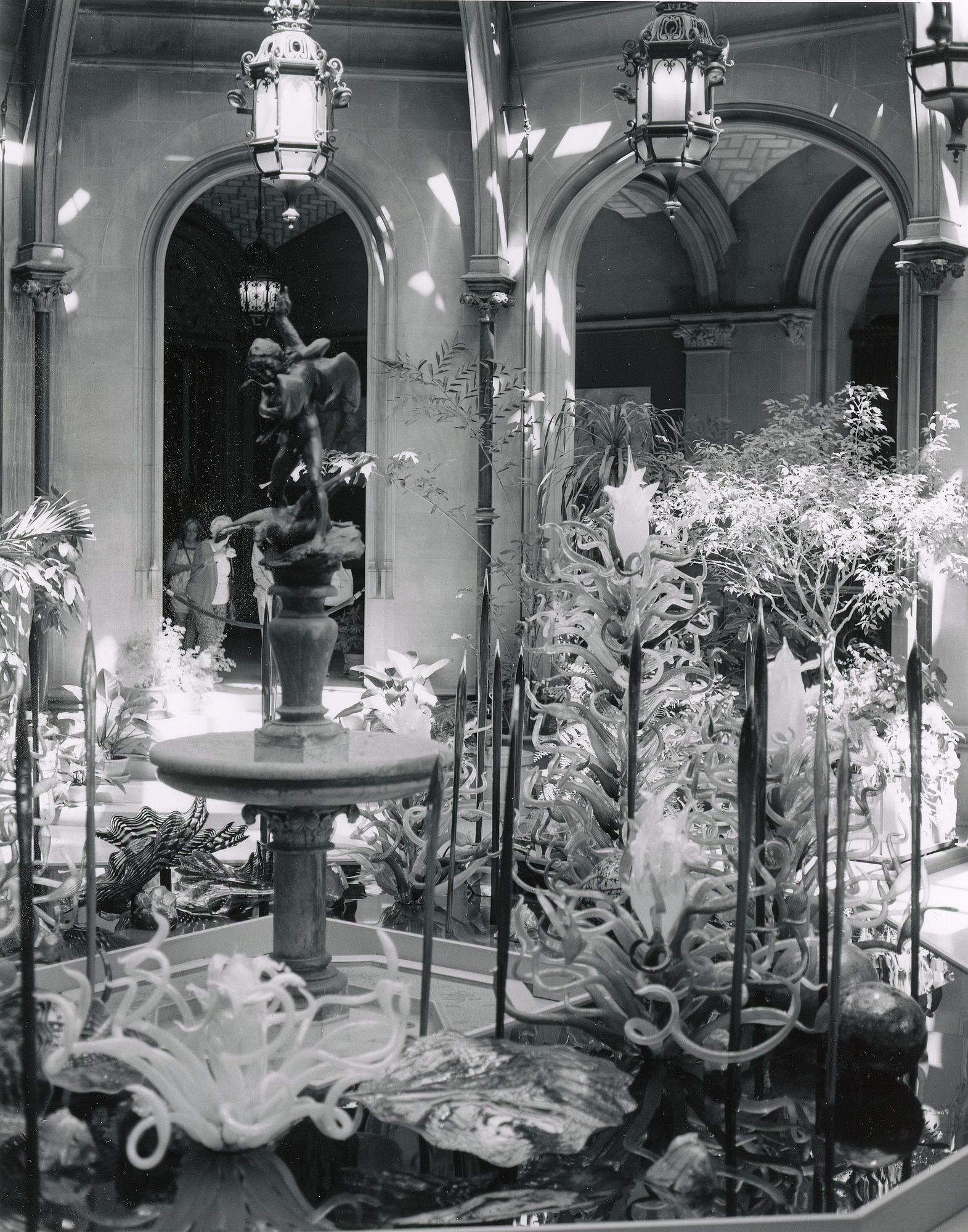 Winter Garden