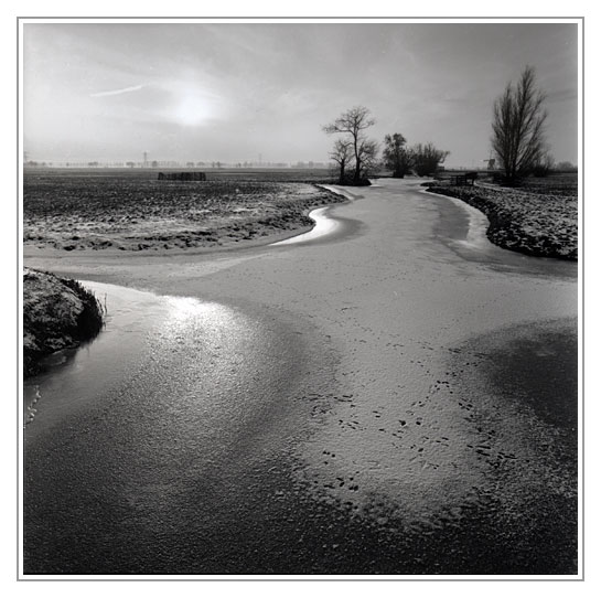 Winter in the polder