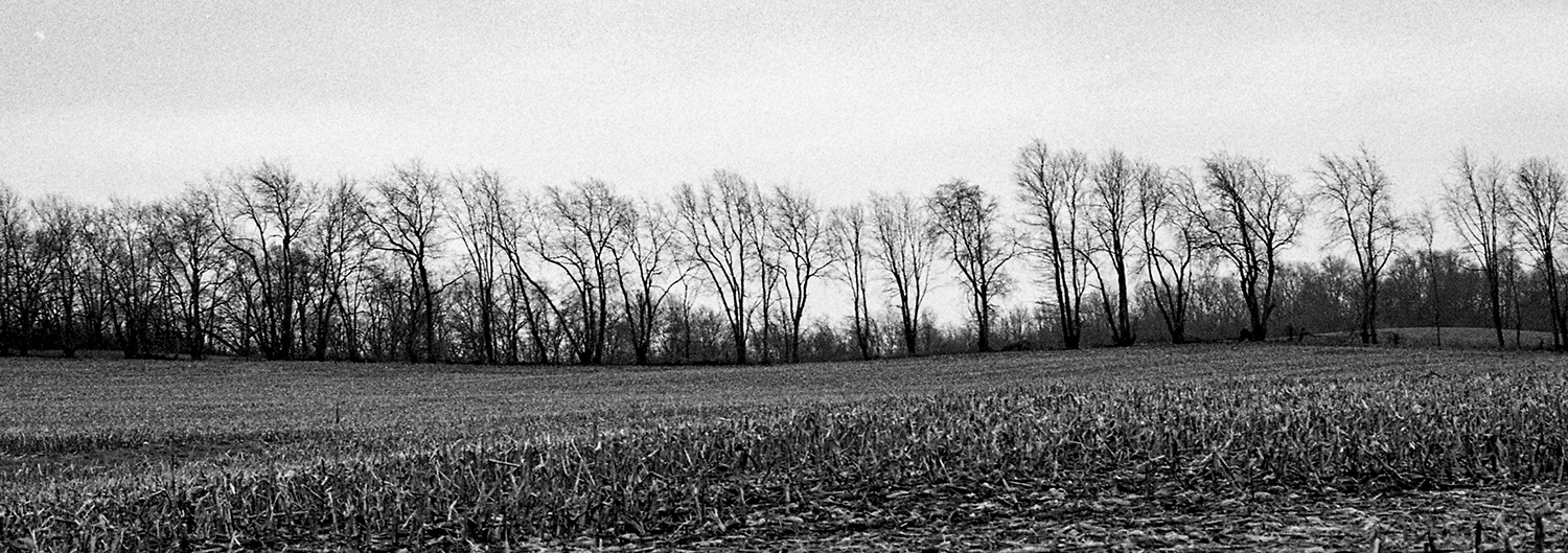 Winter Landscape 2