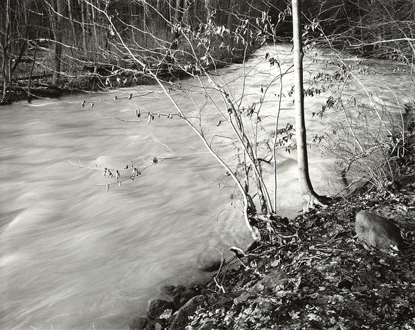 Winter Light, Mill Creek