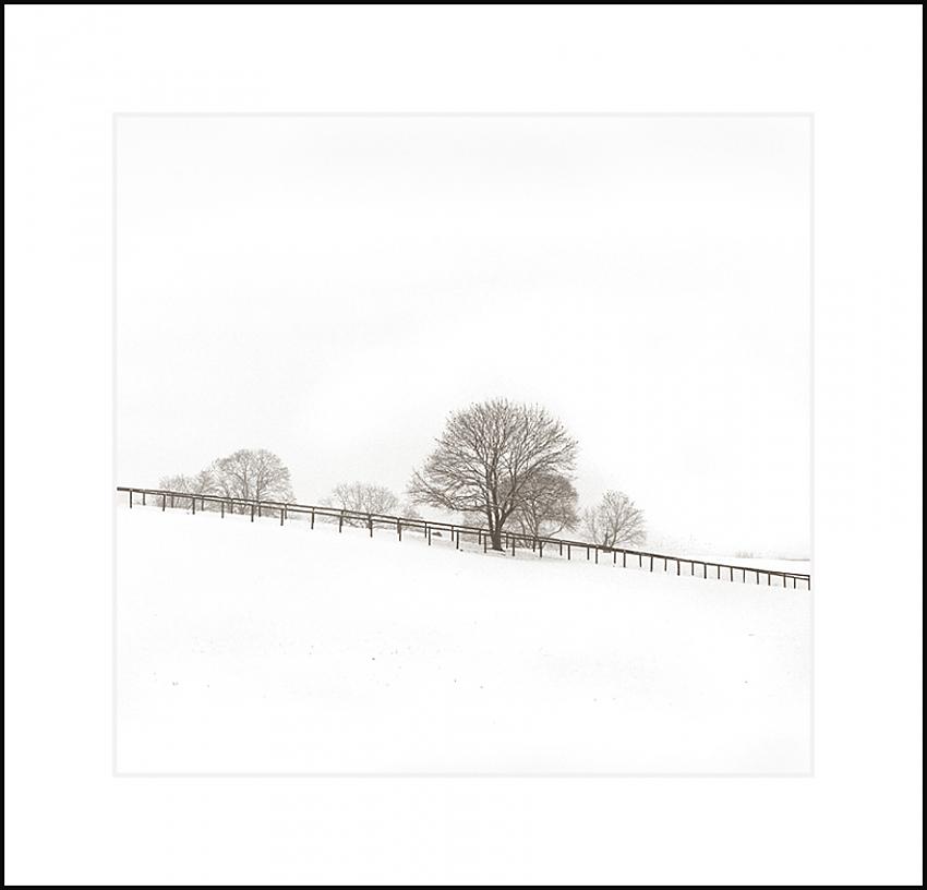 Winter Meadow and Fence