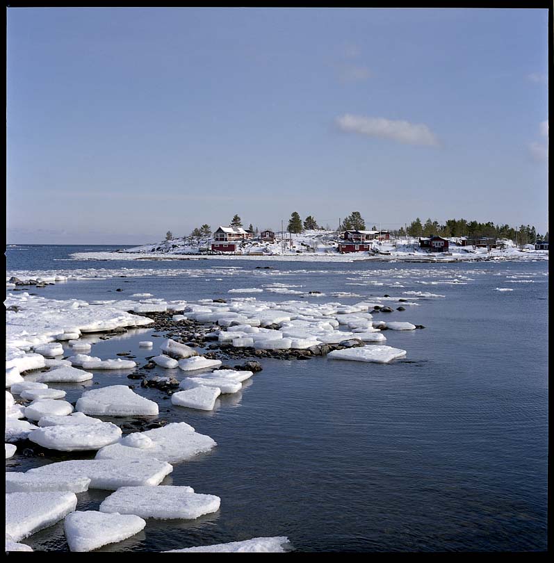 Winter memories 2