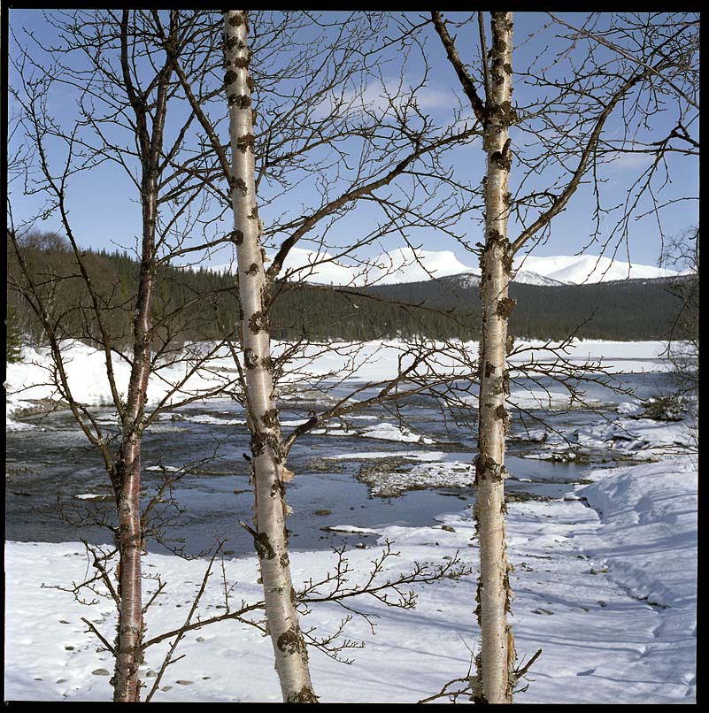 Winter memories 3