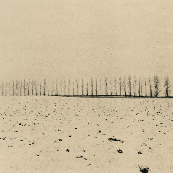 Winter On The Prairie 2