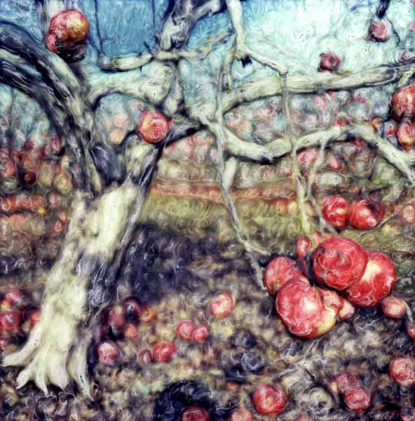 Winter Orchard