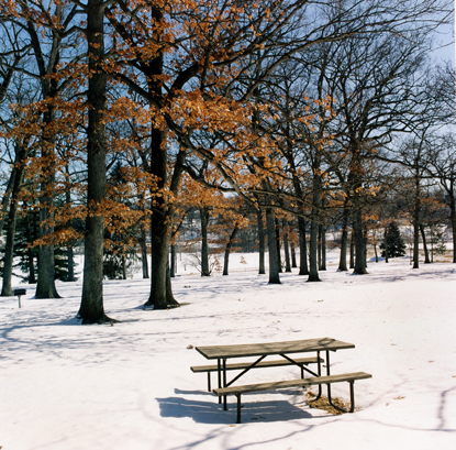 Winter Park - Color photo shot with Noritar 80mm