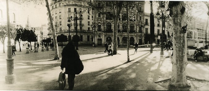 Winter shadows