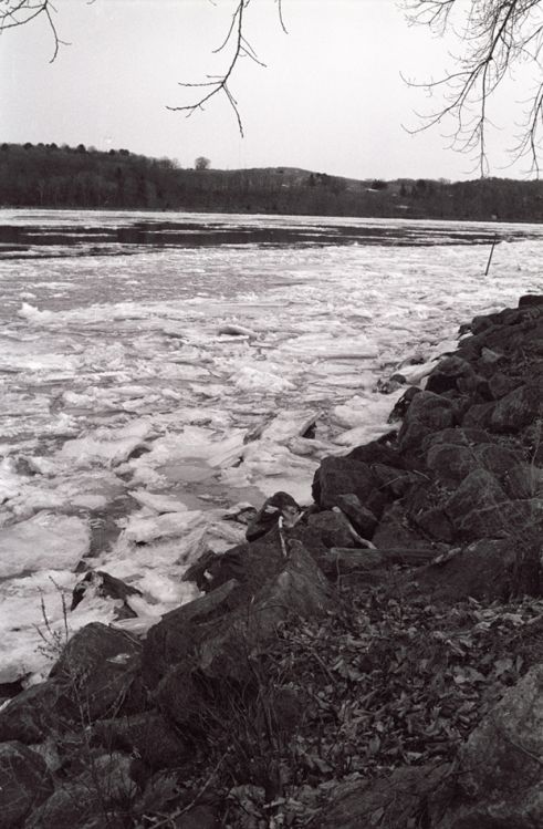 Winter shoreline - Catskill, New York
